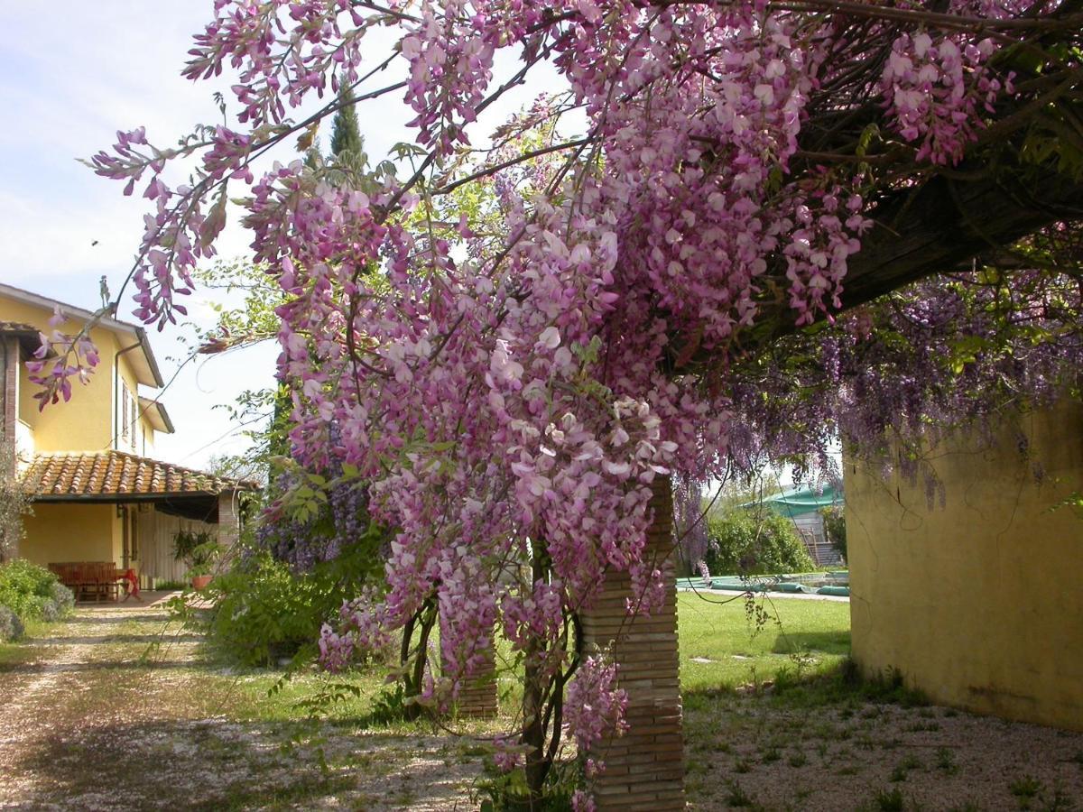 Casavacanze Sant'Eugenia Attigliano Exterior photo